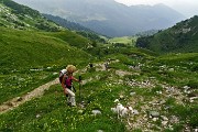 40 Il percorso fatto salendo l'Alpe Nevel (Neel)  sul  218